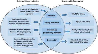 Possible roles of neuropeptide/transmitter and autoantibody modulation in emotional problems and aggression